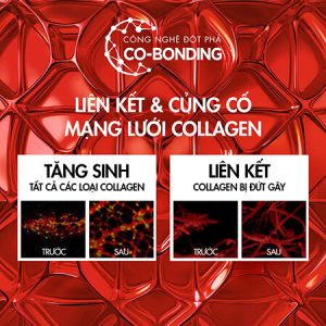Kem Dưỡng Ngày Vichy Liftactiv Collagen Specialist 16 50ml - Ảnh 10